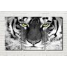 Quadro Tigre Branco Olhar 3 peças - 1