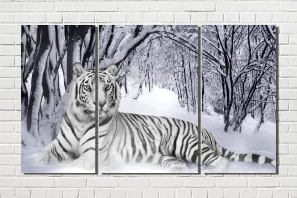 quadro tigre branco casal para decoração 3 peças