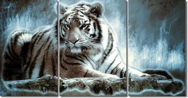 Quadro Decorativo Tigre Moderno Maravilhoso 3 peças - 1