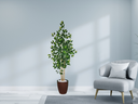 Ver imagem 2 de Planta Árvore Artificial Bambu Real Toque 1,6m Kit + Vaso S. Marrom 30cm