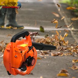 Soprador de Folhas a Gasolina 26cc Iwsfg2t26 - 10