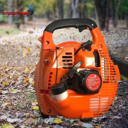 Soprador de Folhas a Gasolina 26cc Iwsfg2t26 - 4