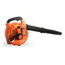 Soprador de Folhas a Gasolina 26cc Iwsfg2t26 - 1