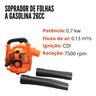 Soprador de Folhas a Gasolina 26cc Iwsfg2t26 - 3