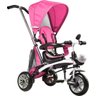 Triciclo 3 em 1 Vira Carrinho e Bicicleta Bel Brink - Rosa - 1