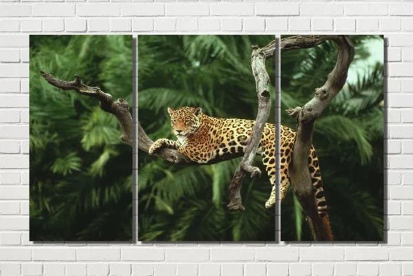 quadro onça pintada deitada no galho seco na árvore 3 peças - 1