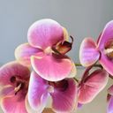 Ver imagem 3 de Arranjo de Orquídea Artificial Rosa no Vaso Prateado| Linha Permanente Formosinha