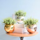 Ver imagem 3 de Arranjo de Folhagem Artificial no Vaso Prateado Pequeno|Linha Permanente Formosinha