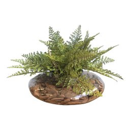 Arranjo de Avenca Artificial No Terrário Transparente Pequeno|Linha Permanente Formosinha - 2