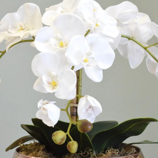 Arranjo com Três Hastes de Orquídeas Brancas No Vaso Rose Gold|Linha Permanente Formosinha - 2