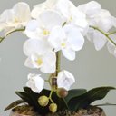Ver imagem 2 de Arranjo com Três Hastes de Orquídeas Brancas No Vaso Rose Gold|Linha Permanente Formosinha