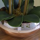 Ver imagem 4 de Arranjo com Três Hastes de Orquídeas Brancas no Vaso Bronze|Linha permanente Formosinha