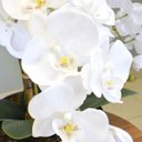 Ver imagem 5 de Arranjo com Três Hastes de Orquídeas Brancas no Vaso Bronze|Linha permanente Formosinha