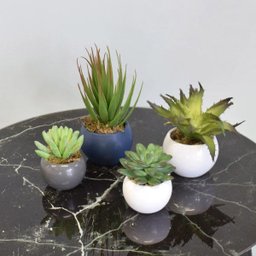 Arranjo de Suculenta no Vaso Branco de Cerâmica|linha Permanente Formosinha - 4