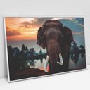 Ver imagem 1 de Quadro Decorativo em Canvas Elefante na Natureza - Moldura Branca - 90 x 60cm