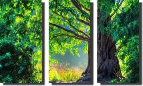 Quadro Decorativo Arvore Verde 3 Peças Para Sala Ou Quarto - 1