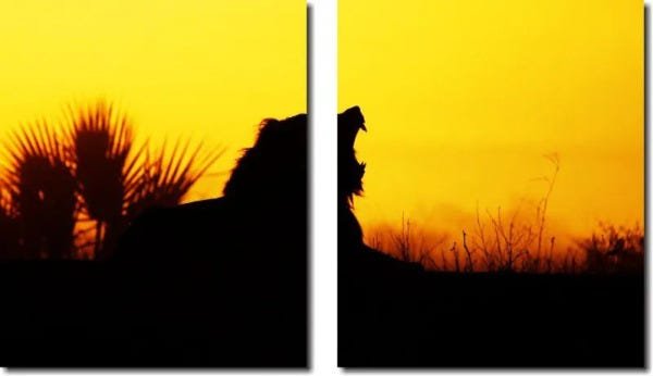 quadro decorativo por do sol com leao para quarto e sala 2 peças - 1