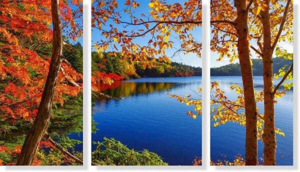 Quadro Decorativo Paisagem Lago 3 peças - 1