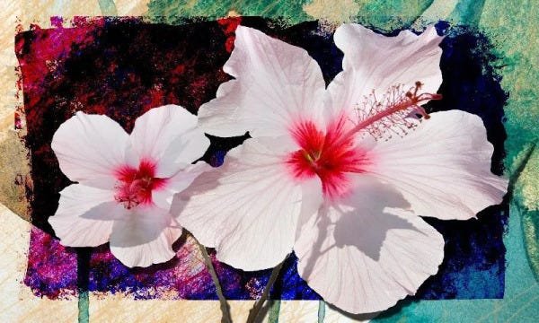 Quadro Decorativo Flor Branca para sala 1 peça - 1