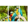 Quadro Decorativo Pássaro Arara 3 Peças - 1