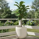 Ver imagem 6 de Vaso Oma 51(75l) Cor Off-white Japi