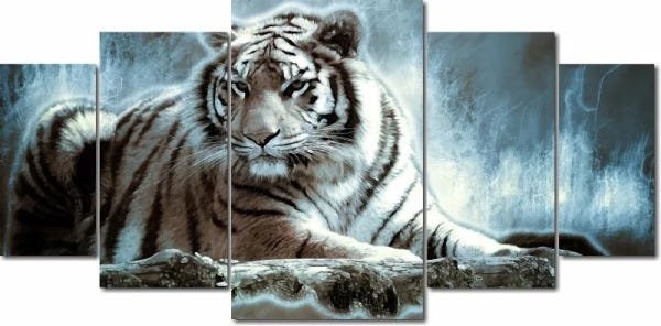 Quadro Decorativo Tigre na noite Para Sala 5 peças - 1