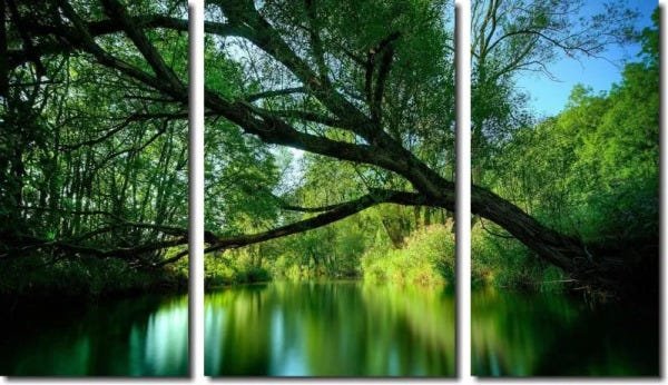 Quadro Decorativo Paisagem Galhos De Arvore 3 Peças M2 - 1