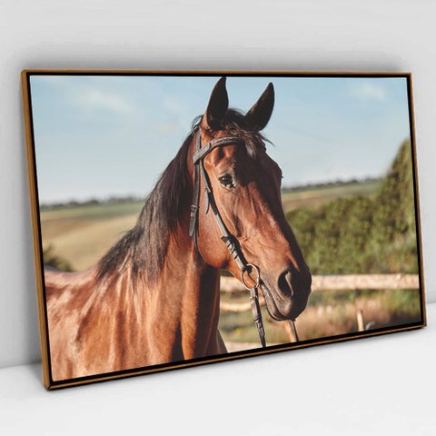 Quadro Decorativo em Canvas Cavalo de Perfil TaColado Moldura Flutuante 4,5cm Freijó 120 x 80cm