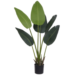 Planta Artificial Bananeira de Jardim Pu C/pote X6 Verde 90cm