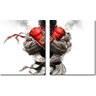 Quadro Decorativo Street Fighter Ryu Lutador Varias Peças - 2 Peças - 1