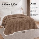 Ver imagem 2 de Cobertor Manta Santiago Casal 190x210cm Microfibra Dupla Face Sherpa Marrom Claro Clara Luz Decora