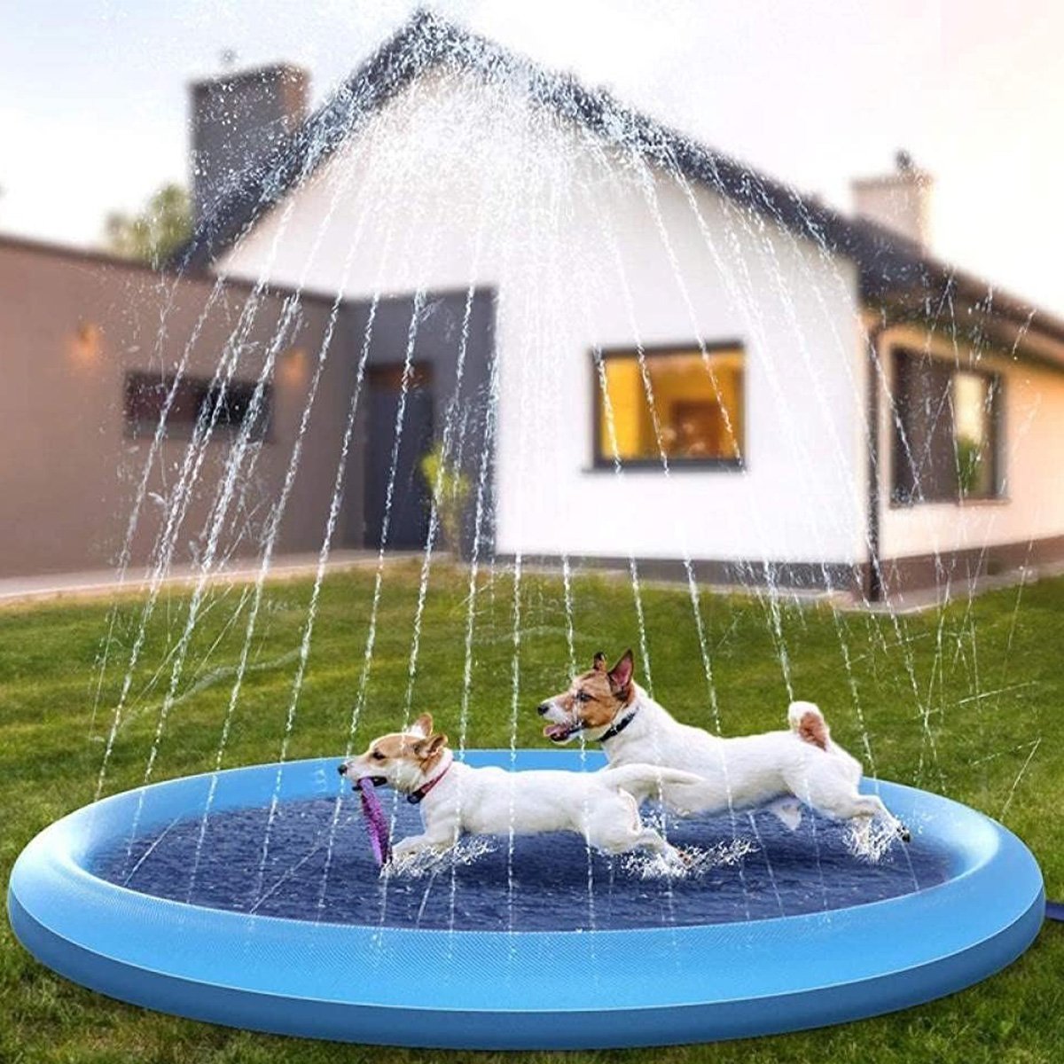 Piscina Tapete Chafariz Inflavel Agua Pet Criança Cachorro Verao Divertido Brincadeira Sol Jardim Qu - 5