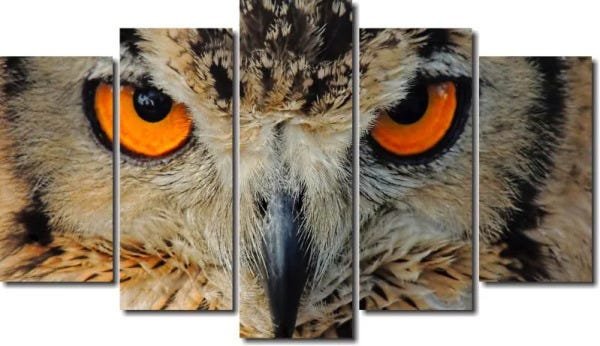 Quadro decorativo paisagem coruja para quartos e salas 5 peças - 1