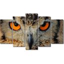 Ver imagem 1 de Quadro decorativo paisagem coruja para quartos e salas 5 peças