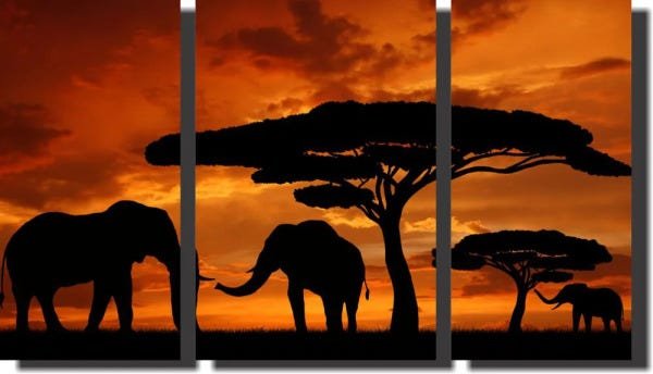 Quadro Decorativo Elefante Savana Africa 3 Peças - 1