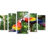 Quadro Decorativo Paisagem Arara Colorida 5 peças - 1
