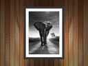 Ver imagem 3 de Porta Chaves Elefante Animais Salas Decorações Chaveiros