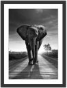 Ver imagem 1 de Porta Chaves Elefante Animais Salas Decorações Chaveiros