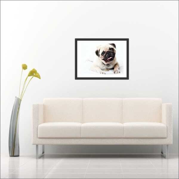 Quadro Decorativo Animais Cão Pug PetShop Salas Interiores Com Moldura - 3