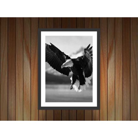 Quadro Decorativo Ave Águia Animais Salas Decorações Interiores Com Moldura