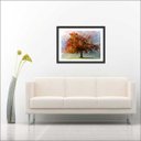Ver imagem 3 de Quadro Decorativo Abstrato Árvores Salas Interiores Com Moldura
