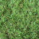 Ver imagem 5 de Grama Sintética Artificial 20mm com Proteção Uv e Anti-fungo (por Metro Quadrado)