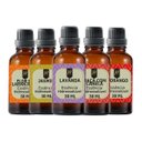 Ver imagem 1 de Super Kit 5 Essências a Base Água Hidrossolúvel 30ml Difusor Aroma:kit 9 Momentos