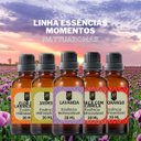Ver imagem 5 de Super Kit 5 Essências a Base Água Hidrossolúvel 30ml Difusor Aroma:kit 9 Momentos