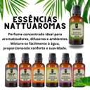 Ver imagem 4 de Super Kit 5 Essências a Base Água Hidrossolúvel 30ml Difusor Aroma:kit 9 Momentos
