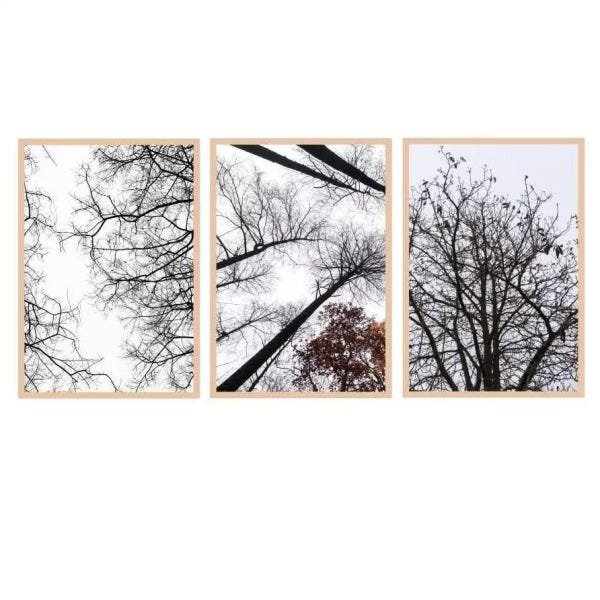 Quadro Composição 12 45x65 Moldura Natural - 1