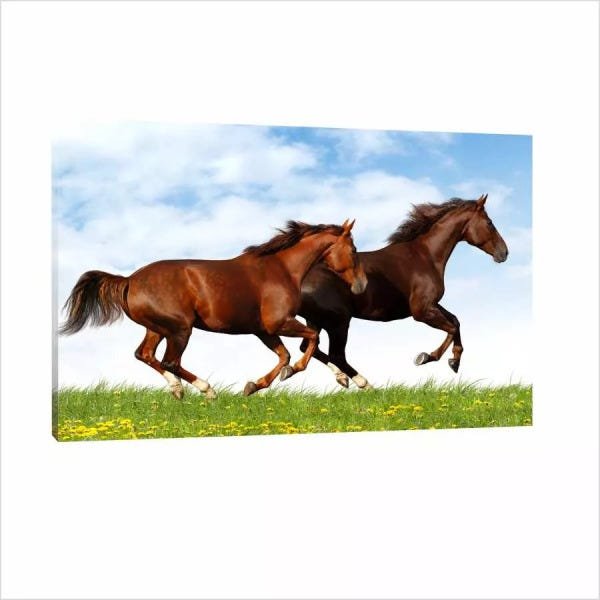 Quadro Cavalo X 120x80 Moldura Interna - 1