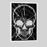 Quadro Caveira I 95x63 Moldura Branca - 1