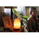 Ver imagem 6 de Luminária de Sal Rosa do Himalaia - 1 a 2kg - 110v