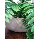 Ver imagem 2 de Arranjo Vaso Polietileno Bege C/ Samambaia Cmc